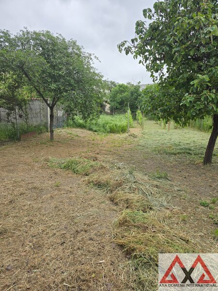 Nicolae Grigorescu, Trapezului, teren 794 mp